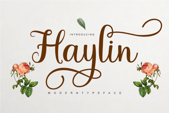 Haylin Script: Where Delicate Flourishes Meet Digital Design